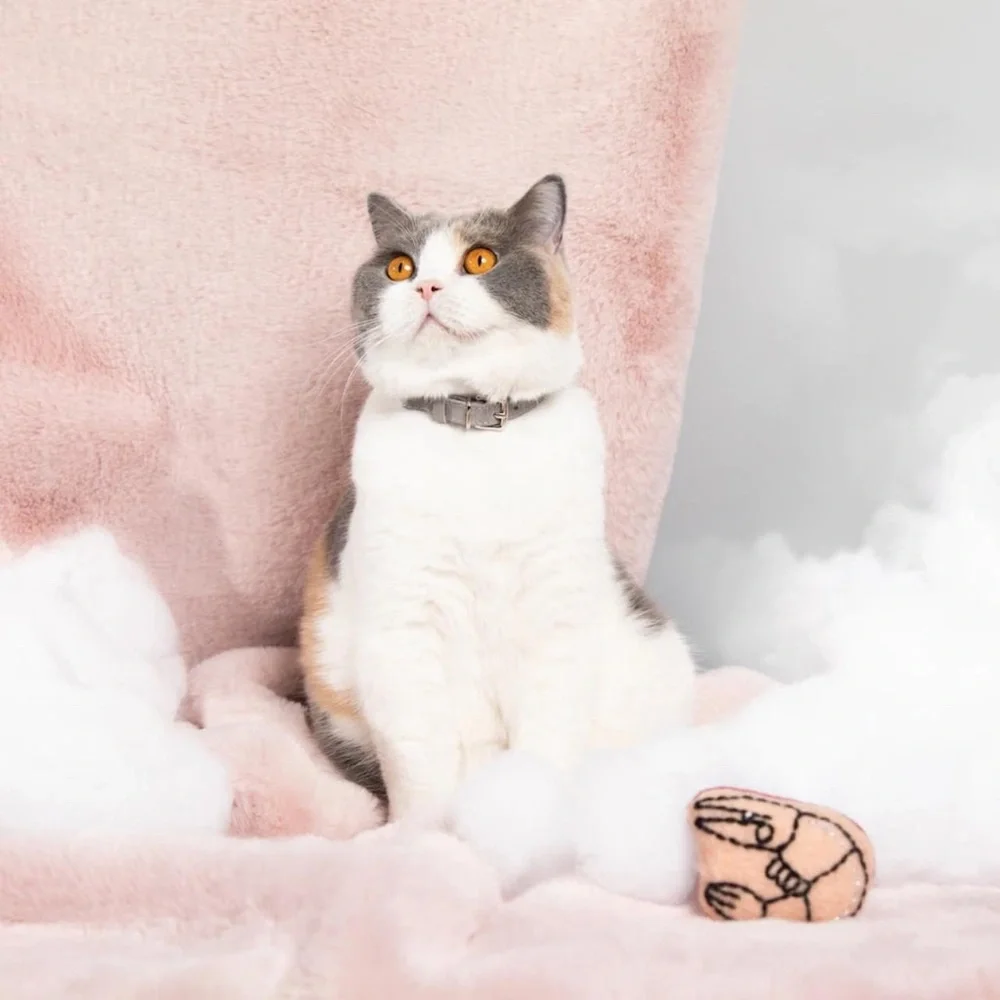 cheshire and wain london cat cloud® throw & bed set